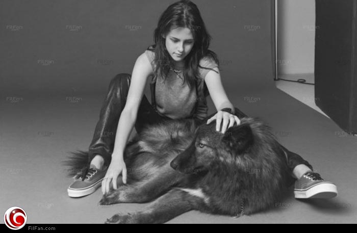 كريستين ستيوارت مع أحد حيواناتها