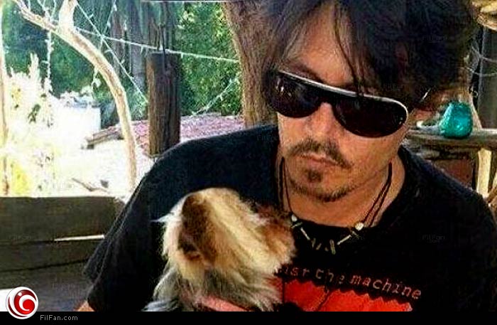 جوني ديب مع كلبيه في أستراليا