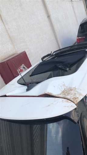 أشرف عبد العزيز