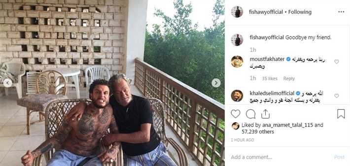 أحمد الفيشاوي