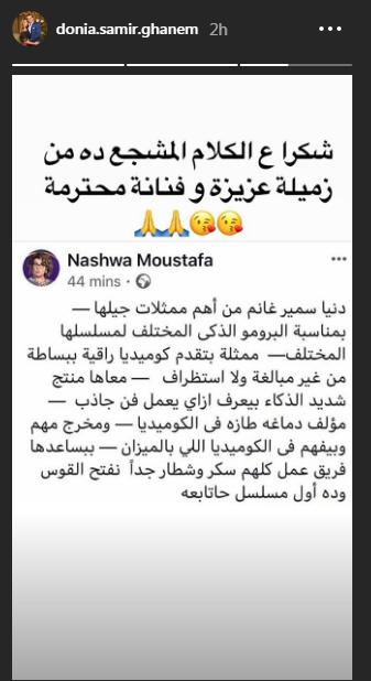 دنيا سمير غانم