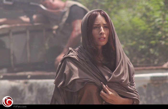 الفنانة اللبنانية هبة طوجي