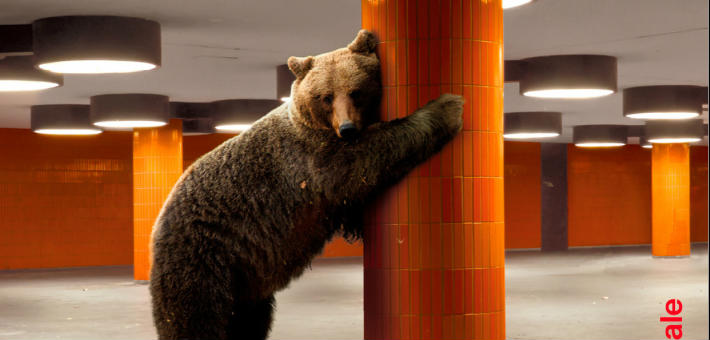 أحد بوسترات مهرجان برلين السينمائي