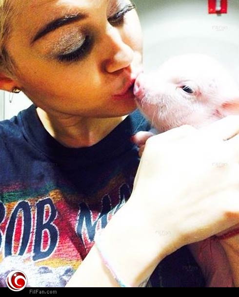 مايلي سايرس