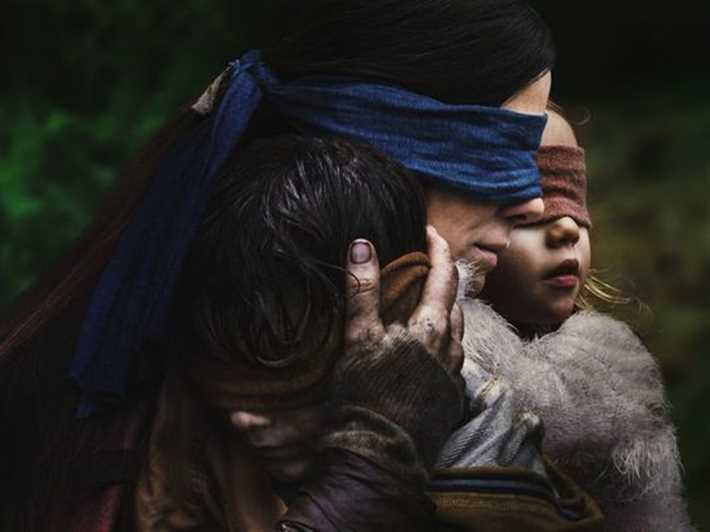  Bird Box