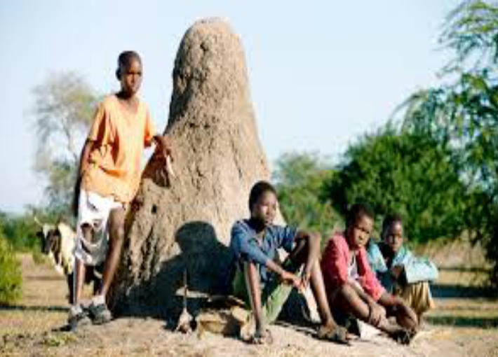 مهرجان الأقصر للسينما الإفريقية