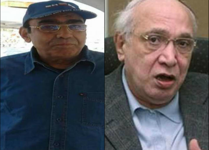 رأفت الميهي وعادل الميهي