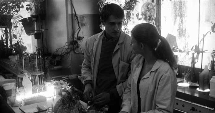 مهرجان القاهرة السينمائي 