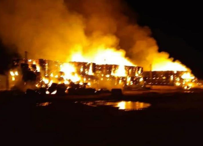 صورة أرشيفية