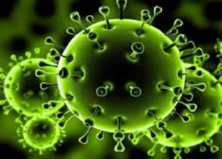 فيروس كورونا