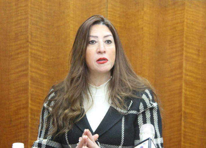 عبير فريد شوقي