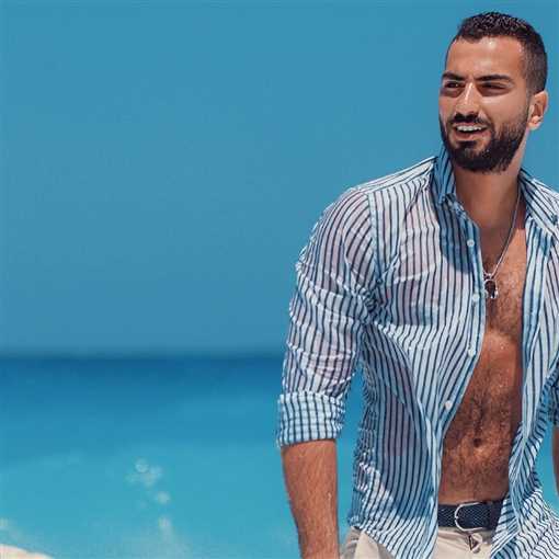 محمد الشرنوبي