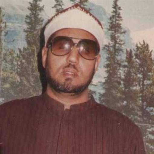 الشيخ محمد عمران