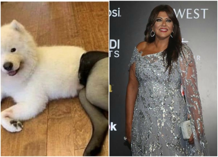 هالة صدقي والصورة الساخرة