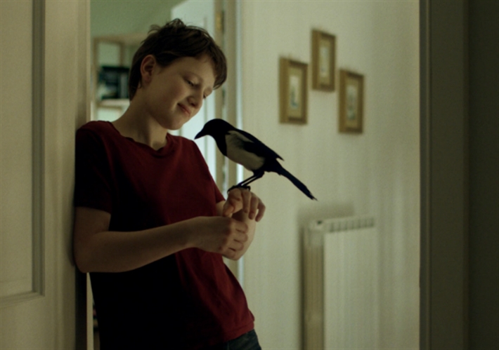 فيلم ازرع الريح