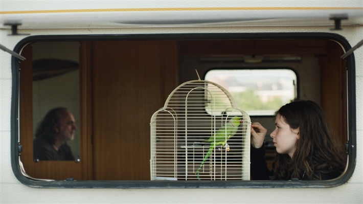 مجرة أندروميدا