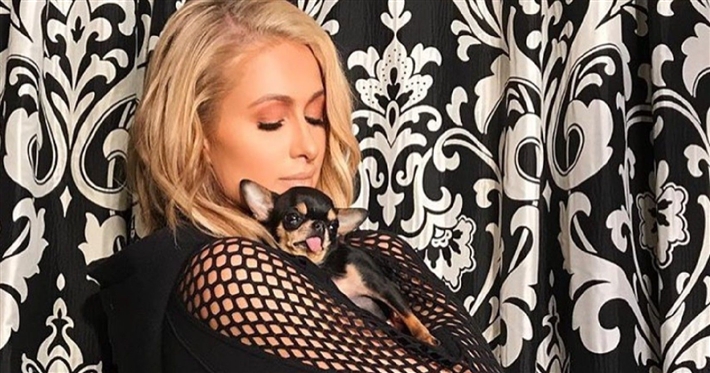 باريس وكلبتها