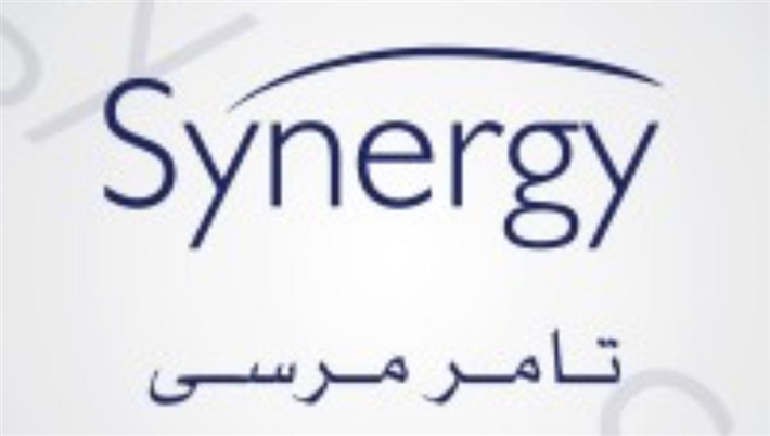 شعار شركة سينرجي 