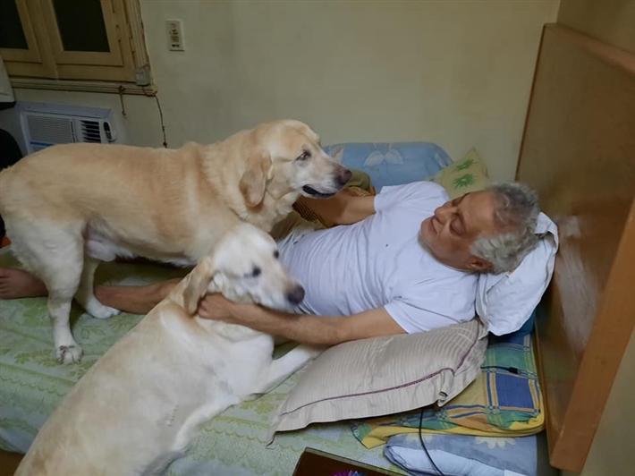 توفيق عبد الحميد