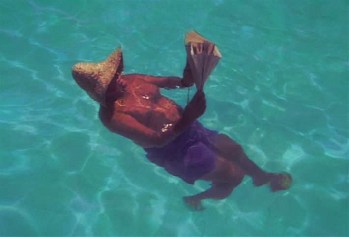 تمساح النيل