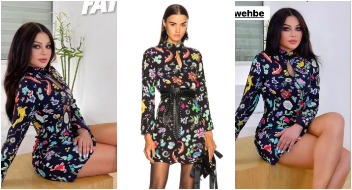 هيفاء وهبي وفستانها