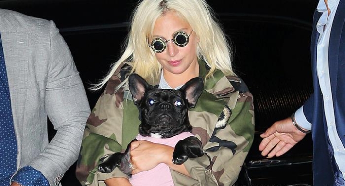 ليدي جاجا وكلبها