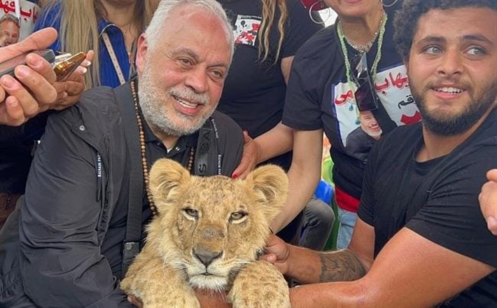 انتخابات المهن التمثيلية