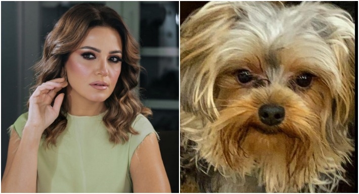 ريهام عبد الغفور