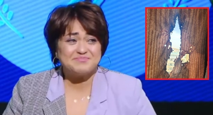 مروة عبد المنعم