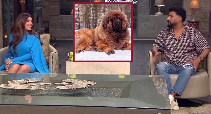 محمد سامي ومي عمر 