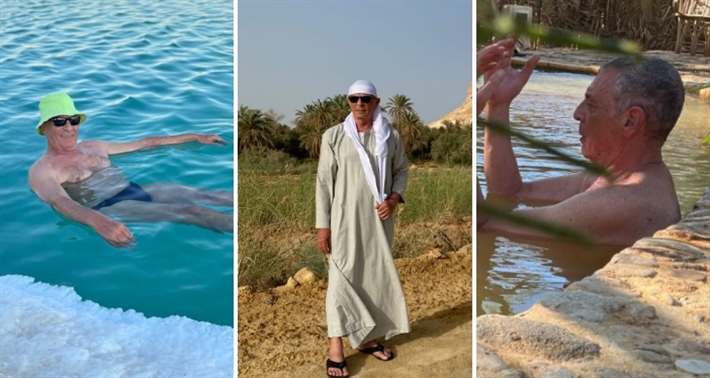 محمود حميدة