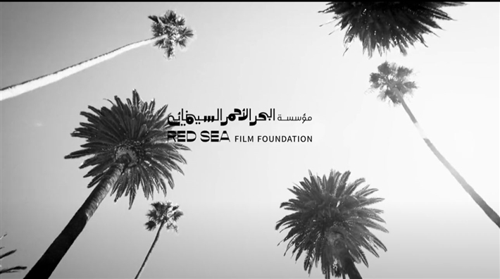 مهرجان البحر الأحمر