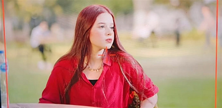 لطيفة التركي