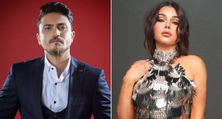 هيفاء وهبي وهيثم سعيد