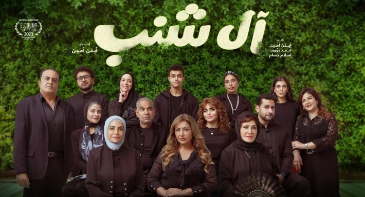بوستر فيلم آل شنب