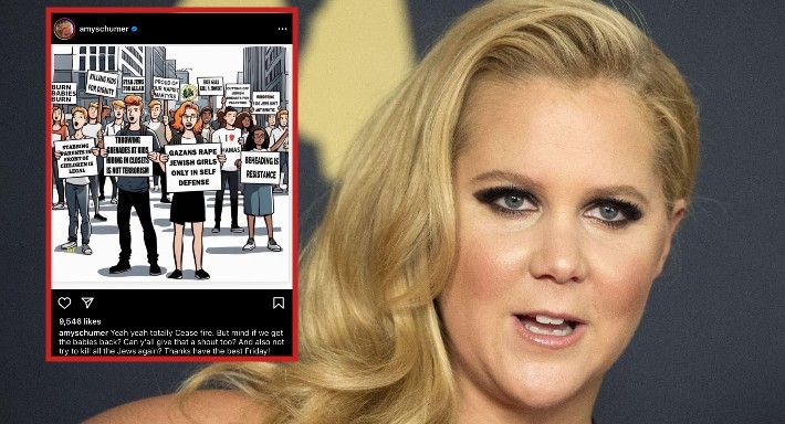 إيمي شومر .. عن كراهية فلسطين وتاريخها مع العنصرية