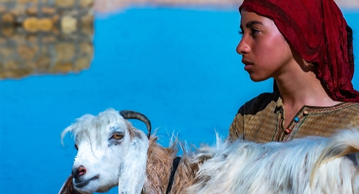 فيلم المعزة