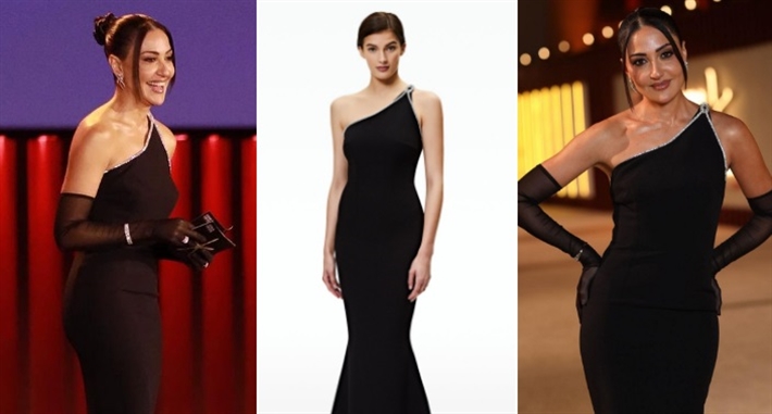 ناردين فرج وفستانها