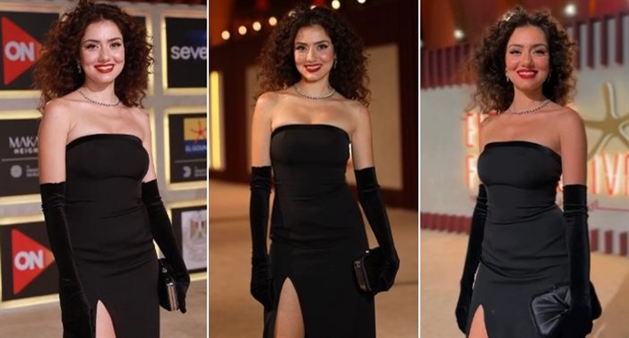 جيهان الشماشرجي