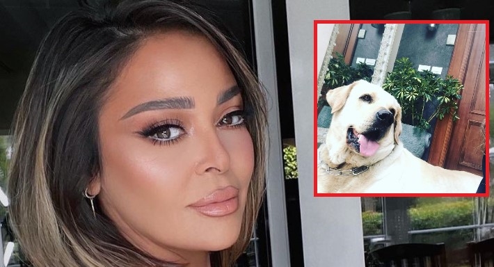 داليا البحيري