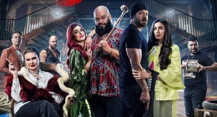 الملصق الدعائي لفيلم شقو