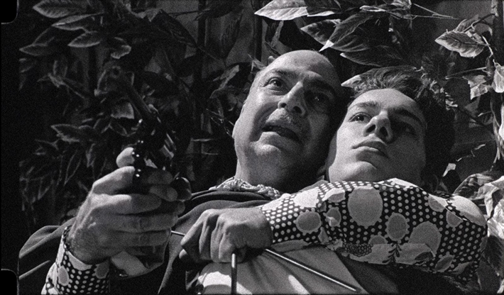 أحمد كمال وعمر زريق