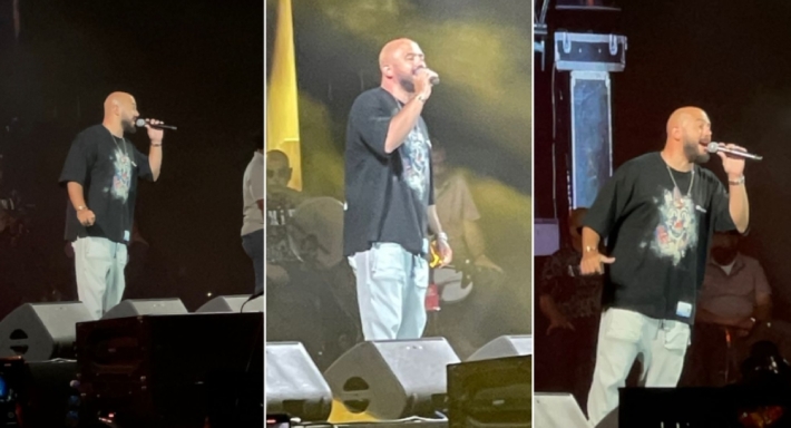 محمود العسيلي 