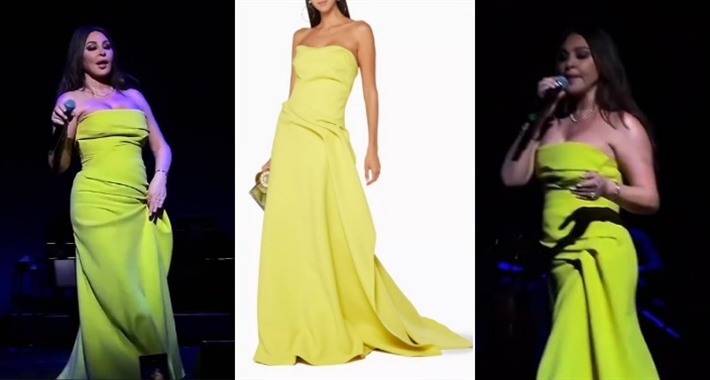 إليسا وفستانها