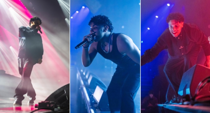 حفل زياد ظاظا في هولندا