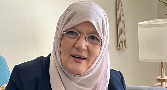 شمس البارودي