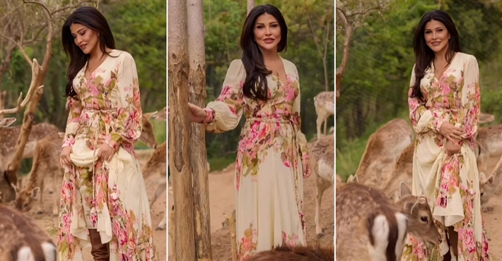 جومانا مراد