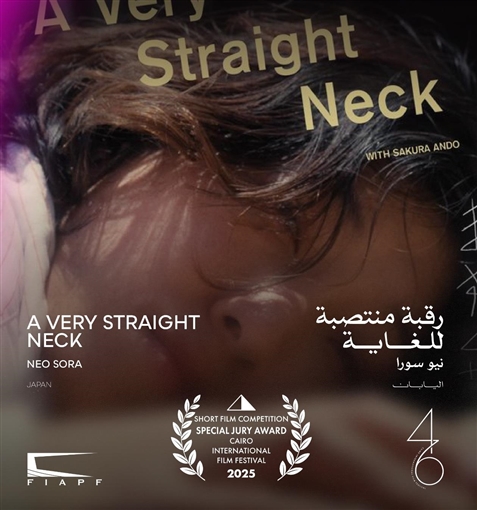  شوارع القاهرة يفوز بجائزة يوسف شاهين لأفضل فيلم قصير في مهرجان القاهرة السينمائي الدولي الـ46