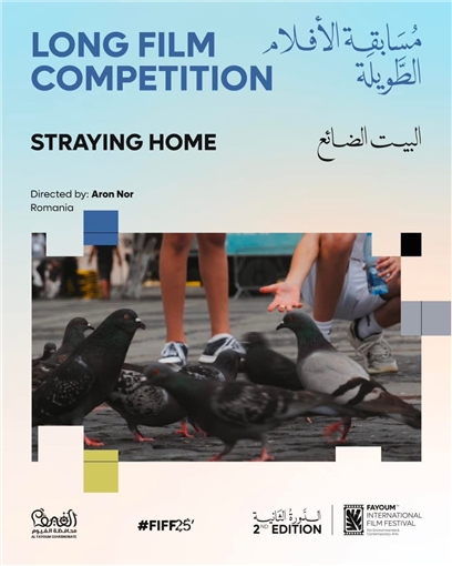 60 فيلما من 22 دولة .. مهرجان الفيوم يعلن أفلام ومسابقات دورته الثانية