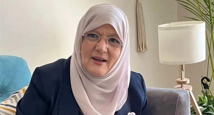 شمس البارودي